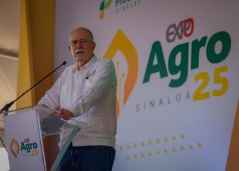 Es cuestión de días o semanas para que se paguen apoyos pendientes a maiceros y trigueros: Julio Berdegué