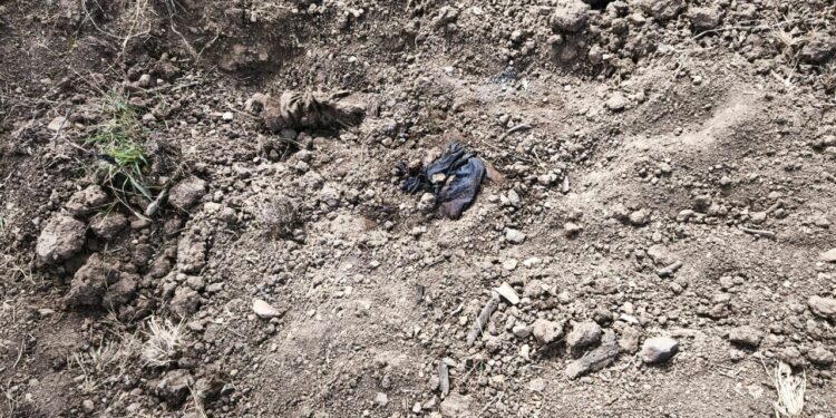 Hallan una osamenta en el ejido El Alhuate, en Costa Rica