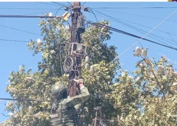 Retiran 64 cámaras de videovigilancia irregulares o instaladas en estructuras públicas en Culiacán
