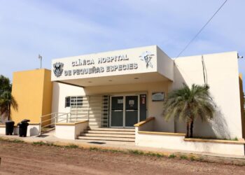 La Clínica de Pequeñas Especies de la Facultad de Medicina Veterinaria y Zootecnia de la UAS ofrece diversos servicios al público en general