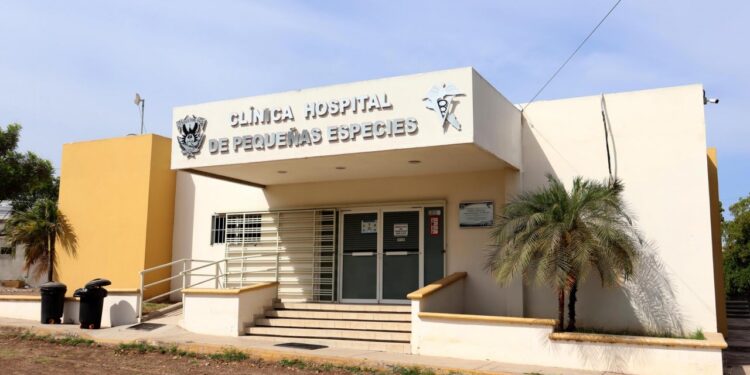 La Clínica de Pequeñas Especies de la Facultad de Medicina Veterinaria y Zootecnia de la UAS ofrece diversos servicios al público en general