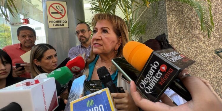 Congreso busca tipificar como delito a quienes instalen y monitoreen cámaras con fines de “halconeo”