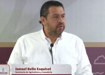 Llama el Secretario de Agricultura Ismael Bello Esquivel a productores a inscribirse al programa de coberturas del maíz