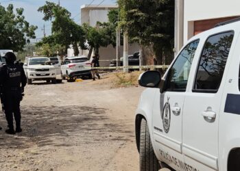 Dos asesinatos, 15 robos de vehículos y tres levantados se registraron ayer sábado en Sinaloa