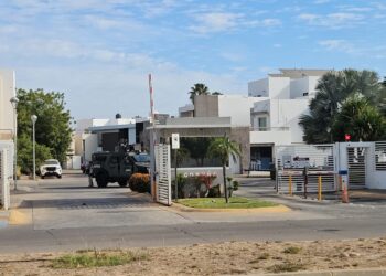 Fuerzas federales aseguran residencias en Banús y la Isla Musala