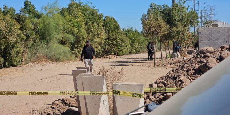 De Villa Bonita y Los Huizaches los jóvenes hallados asesinados hoy cerca de La Explanada