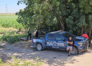 Siete personas asesinadas, entre ellas una mujer, 5 vehículos robados y dos personas privadas de la libertad ayer sábado en Sinaloa