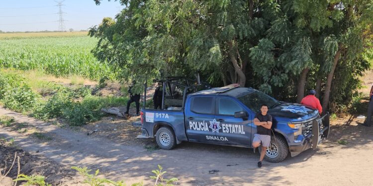 Siete personas asesinadas, entre ellas una mujer, 5 vehículos robados y dos personas privadas de la libertad ayer sábado en Sinaloa