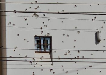 Atacan con más de 200 balazos una residencia de la colonia Aurora