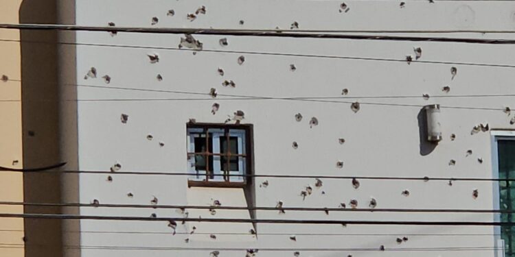 Atacan con más de 200 balazos una residencia de la colonia Aurora