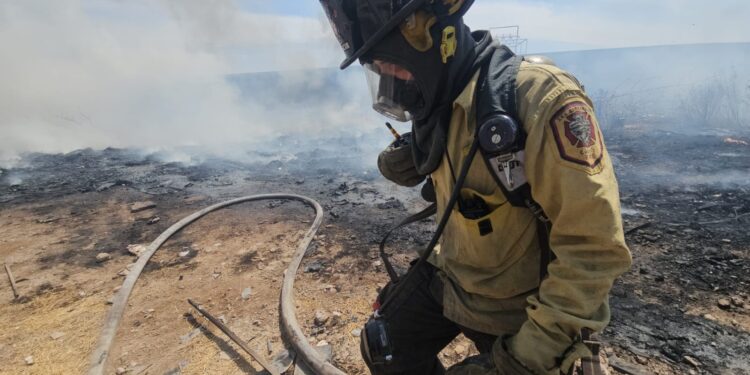 Arde terreno baldío en el Mercado de Abastos