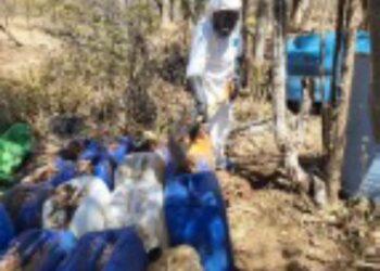 Siguen asegurando laboratorios clandestinos; este sábado se sumaron 8 en Culiacán y Cosalá