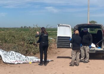 Hallan a un hombre ejecutado en el ejido Buenos Aires, en Navolato