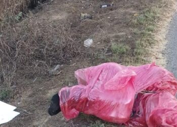 Hallan a otro asesinado en “La Doce”