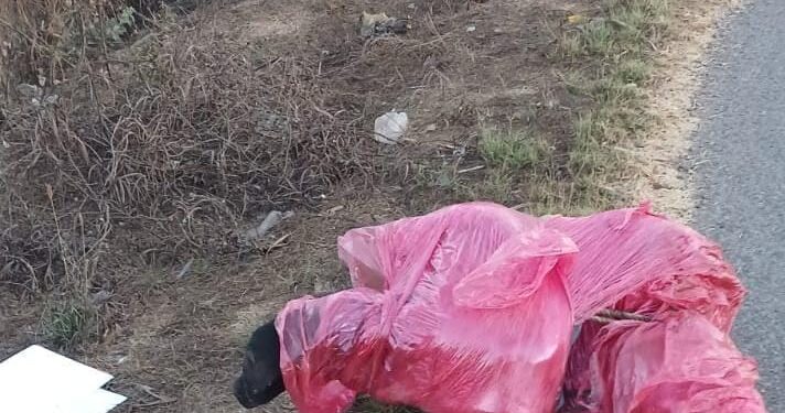 Hallan a otro asesinado en “La Doce”