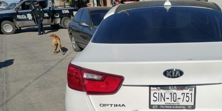 Matan a balazos a un hombre en un intento de despojo de automóvil en Los Huizaches