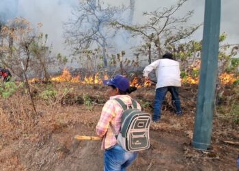En Sinaloa existen cuatro incendios forestales activos: Sebides