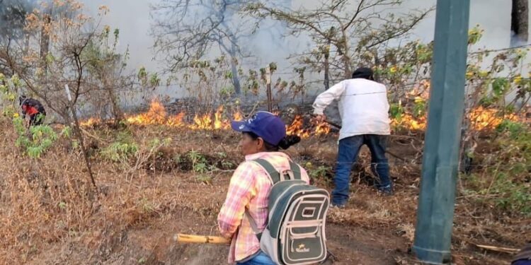 En Sinaloa existen cuatro incendios forestales activos: Sebides