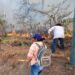 En Sinaloa existen cuatro incendios forestales activos: Sebides