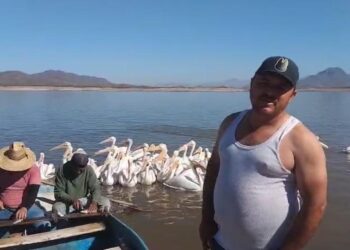Pescadores de la presa Sanalona viven situación crítica