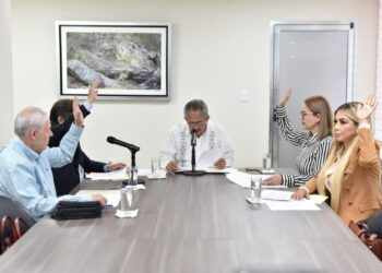 Analizan en Comisión iniciativas sobre salud mental, protección infantil en escuelas y fortalecimiento de las unidades de servicio de apoyo a la educación