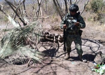 Localizan campamento y material bélico diverso en el municipio de Escuinapa