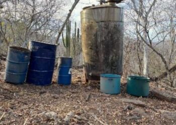 Aseguran otros 11 laboratorios en Culiacán y Cosalá