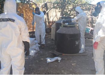 Decomisan vehículo con precursores químicos para la elaboración de droga sintética en Mazatlán