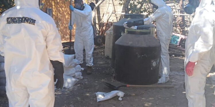 Decomisan vehículo con precursores químicos para la elaboración de droga sintética en Mazatlán