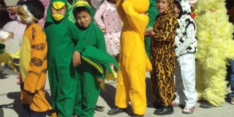 Locatarios del centro hacen “changuitos” para vender disfraces primaverales