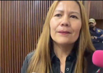 Diputada Arely Ruiz desmiente que esté enfocada en repartir apoyos y que descuide sus tareas legislativas