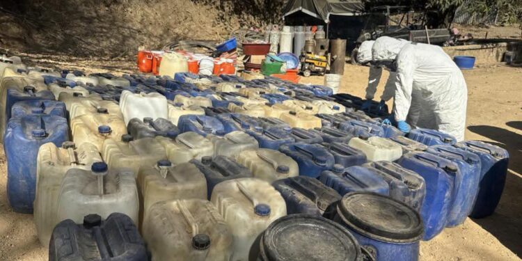 Desmantelan dos millonarios narcolaboratorios en Durango donde se fabricaba droga sintética