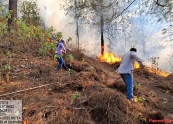 Activos seis incendios forestales en Sinaloa, confirma Sebides
