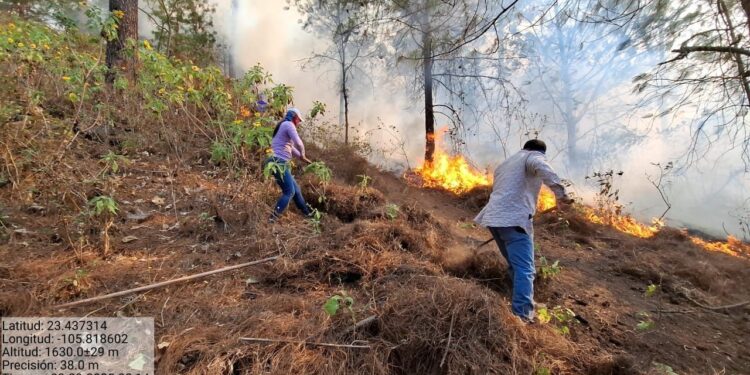 Activos seis incendios forestales en Sinaloa, confirma Sebides