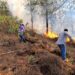 Activos seis incendios forestales en Sinaloa, confirma Sebides