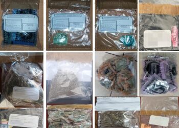 Durante el mes de marzo, la FGE detuvo a 12 presuntos responsables del delito de narcomenudeo