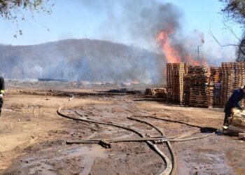Se quema fabricación de tarimas de madera en la salida a Tepuche