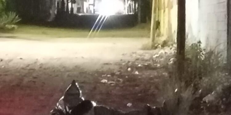 Hallan a un hombre asesinado en la colonia La Costera