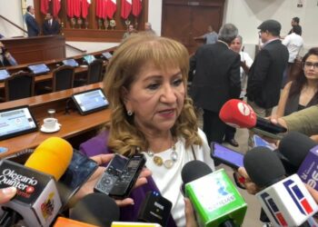 Quedamos a deber en la seguridad, pero existen compromisos: Tere Guerra