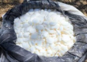 En Culiacán y Cosalá, Grupo Interinstitucional aseguró 13 laboratorios clandestinos