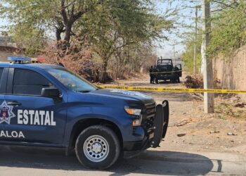 Hallan un cadáver envuelto en plásticos negros en la colonia Miguel de la Madrid