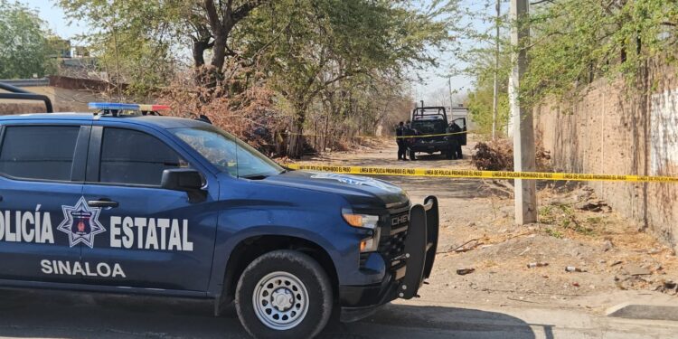 Hallan un cadáver envuelto en plásticos negros en la colonia Miguel de la Madrid