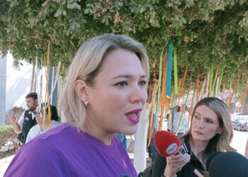 Ayuntamiento de Culiacán no hizo consulta técnica para establecer terrenos donde se construirán viviendas de interés social: Erika Sánchez