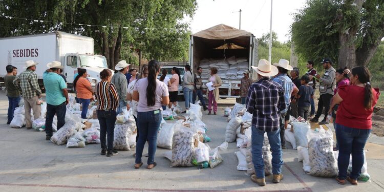 Acción humanitaria del gobierno de Rocha Moya es constante en comunidades serranas de Choix: María Inés Pérez Corral