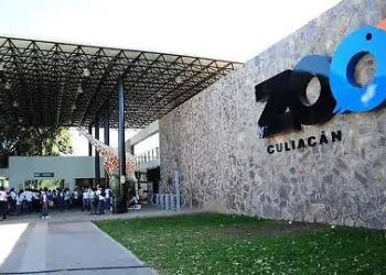 Invitan a disfrutar del programa “Pascua en tu Zoológico”