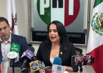 “Estamos viviendo un horror que está bajo la tierra y no es momento de improvisar: Diputada ante propuesta de CEDH de utilizar zopilotes para buscar cuerpos