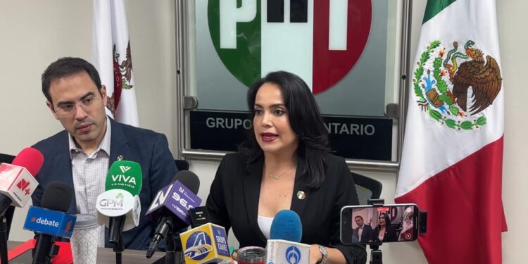 “Estamos viviendo un horror que está bajo la tierra y no es momento de improvisar: Diputada ante propuesta de CEDH de utilizar zopilotes para buscar cuerpos