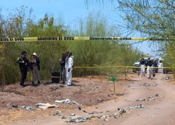 Siete homicidios, 17 unidades robadas y 7 personas levantadas se registraron ayer en Sinaloa