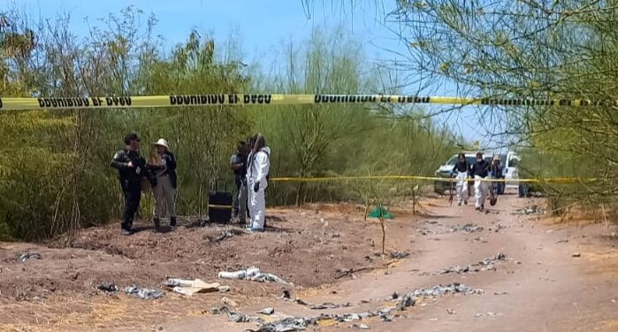 Siete homicidios, 17 unidades robadas y 7 personas levantadas se registraron ayer en Sinaloa