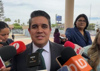 Ricardo Madrid defiende cuadros adheridos al PVEM